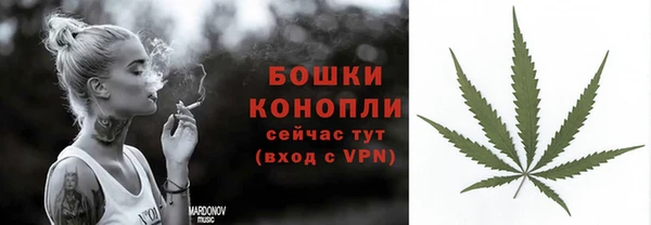 mdpv Богородск