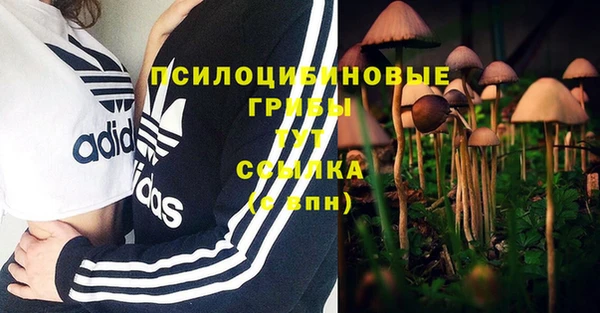 a pvp Бронницы