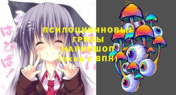 PSILOCYBIN Бородино