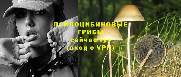 a pvp Бронницы