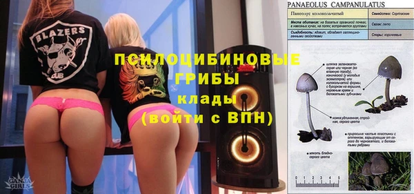 дурь Богданович