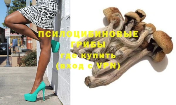 PSILOCYBIN Бородино