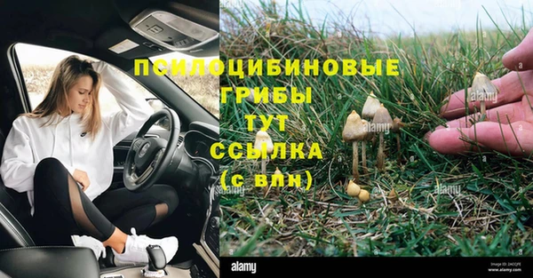 a pvp Бронницы